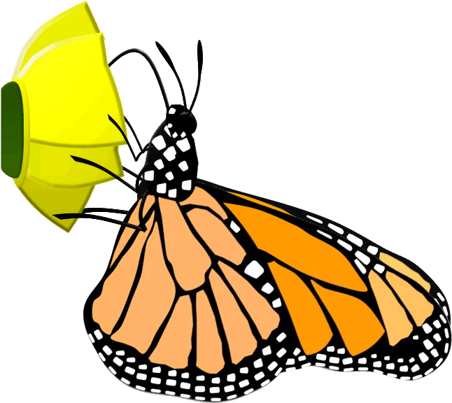 Lead Conference Moodle Free Educational Pictures Monarchadultgif Clipart (659x588), Png Download