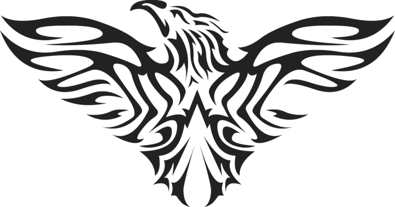 Eagle Symbol Png Clipart Transparent Png (800x419), Png Download