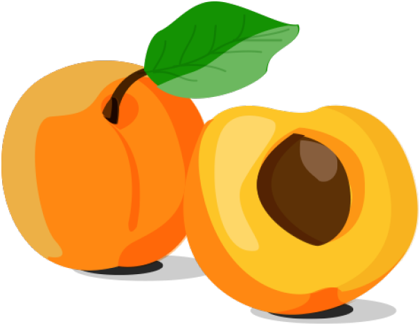 Apricot Clipart Orange Fruit Png Download Full Size Clipart Pinclipart