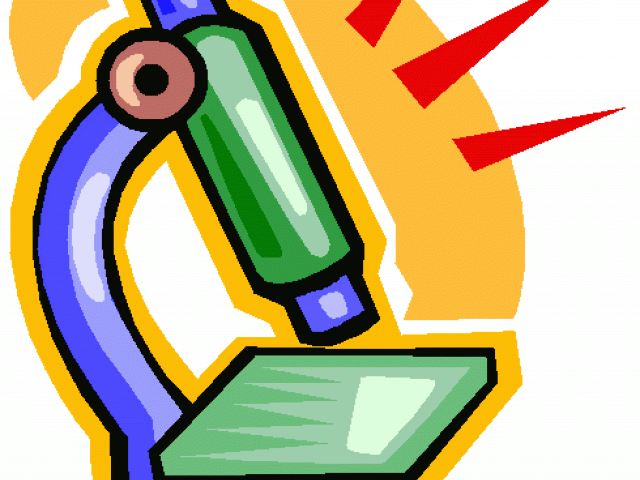 Light Microscopy Clipart Cartoon - Png Download (640x480), Png Download