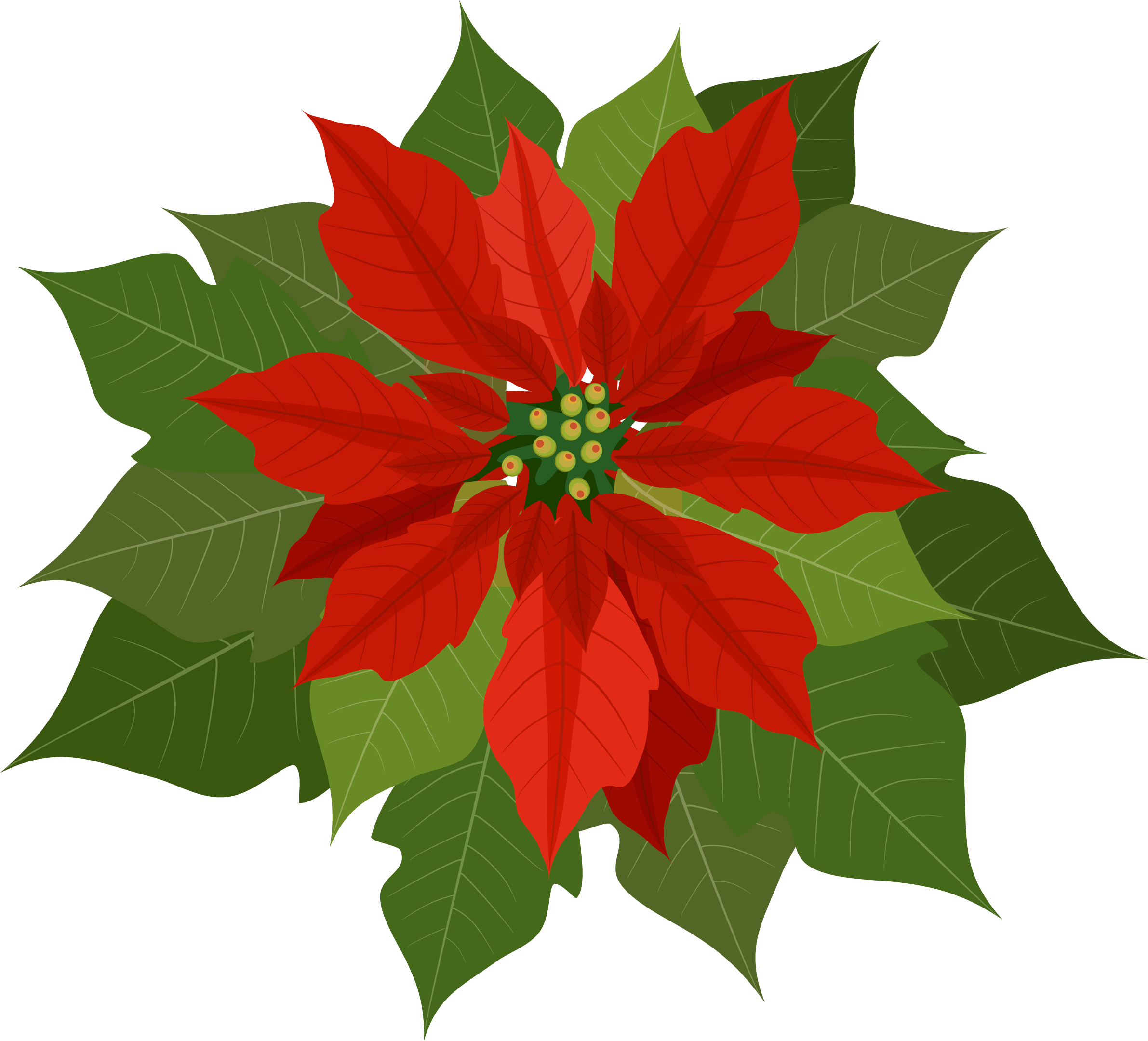 Poinsettia Clipart Png Transparent Png (2382x2160), Png Download