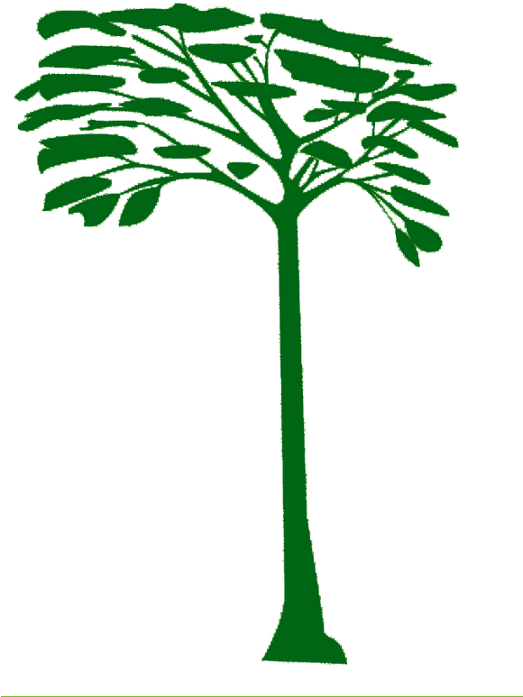 Un Poco Del Chocó Clipart (579x806), Png Download