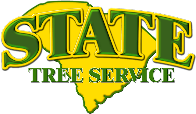 Commercial & Residential Tree Trimming Clipart (800x571), Png Download