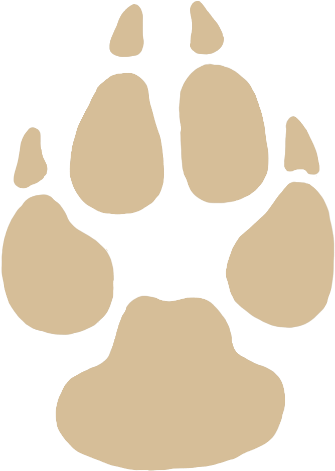 Dog Paw Clipart Transparent - Png Download (820x1063), Png Download