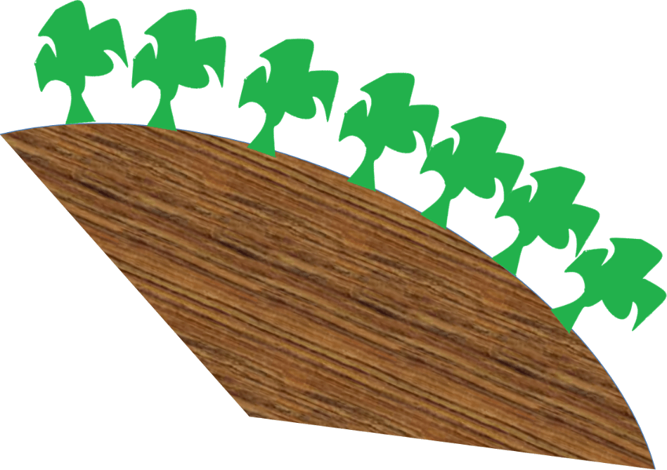 Image Of Many Trees On Slope Clipart (949x669), Png Download