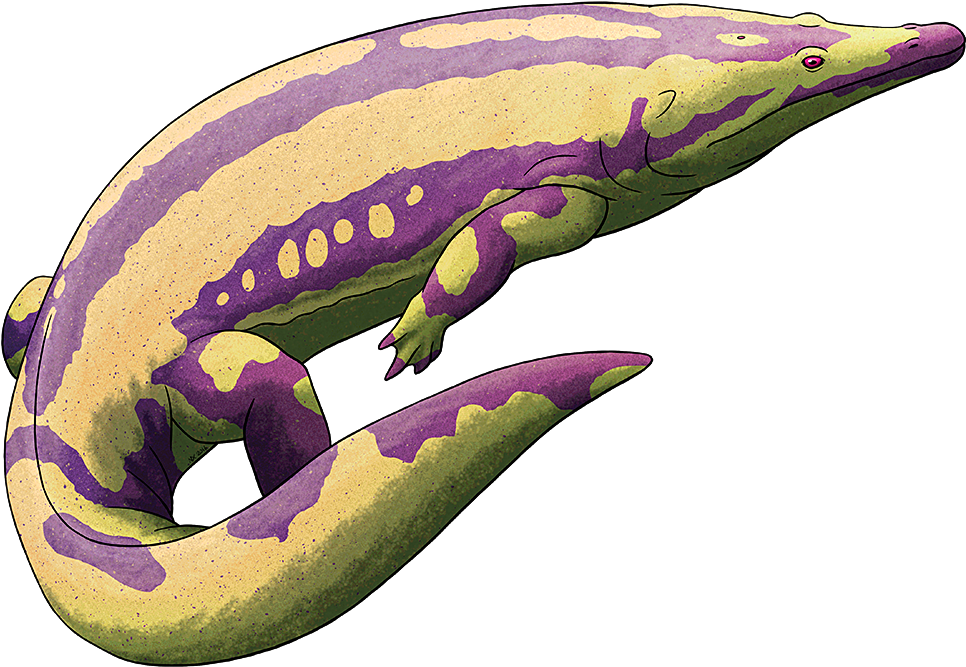 “ Amphibian August Clipart (1000x705), Png Download