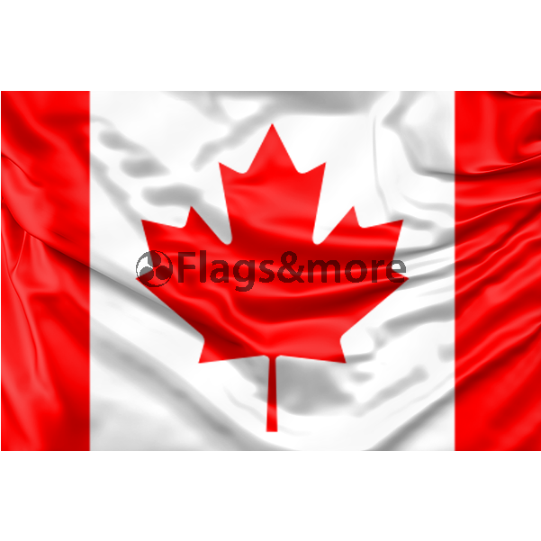 Canada Flag Clipart (700x1000), Png Download