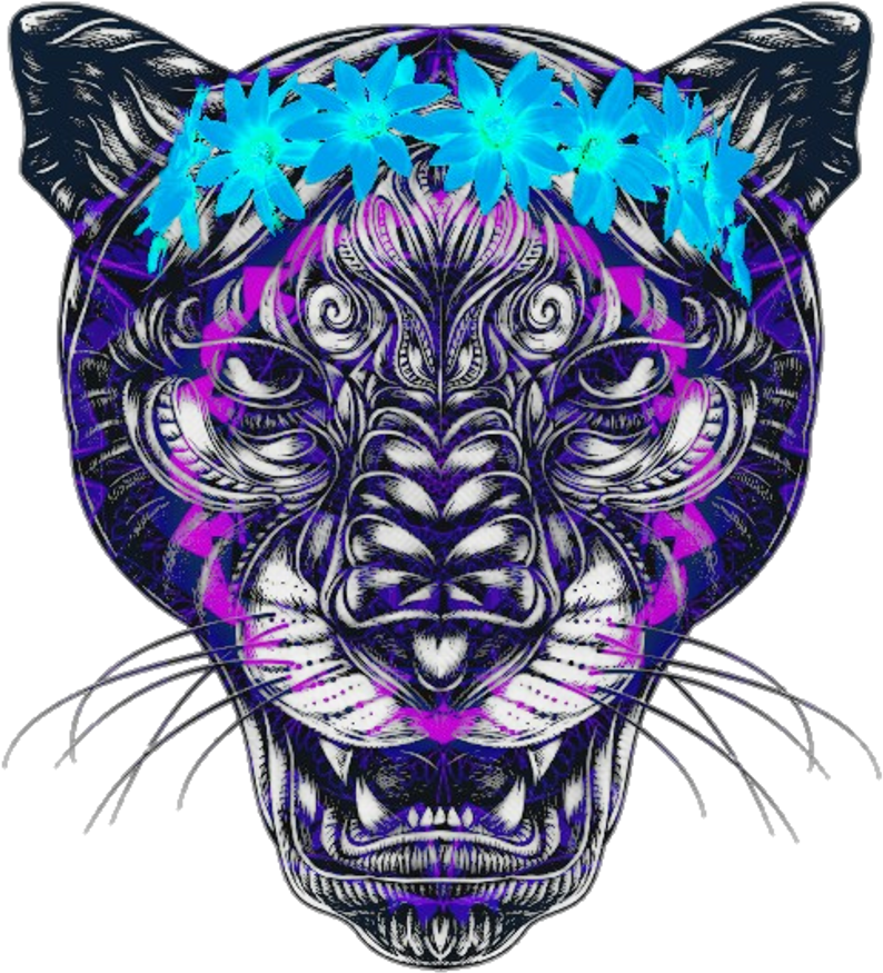 Pantera Panther Colors Tatto Desing Colors Mandala Clipart (1024x1024), Png Download