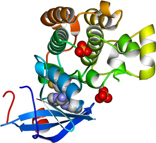 Molmil Generated Image Of 2rgp Clipart (768x768), Png Download