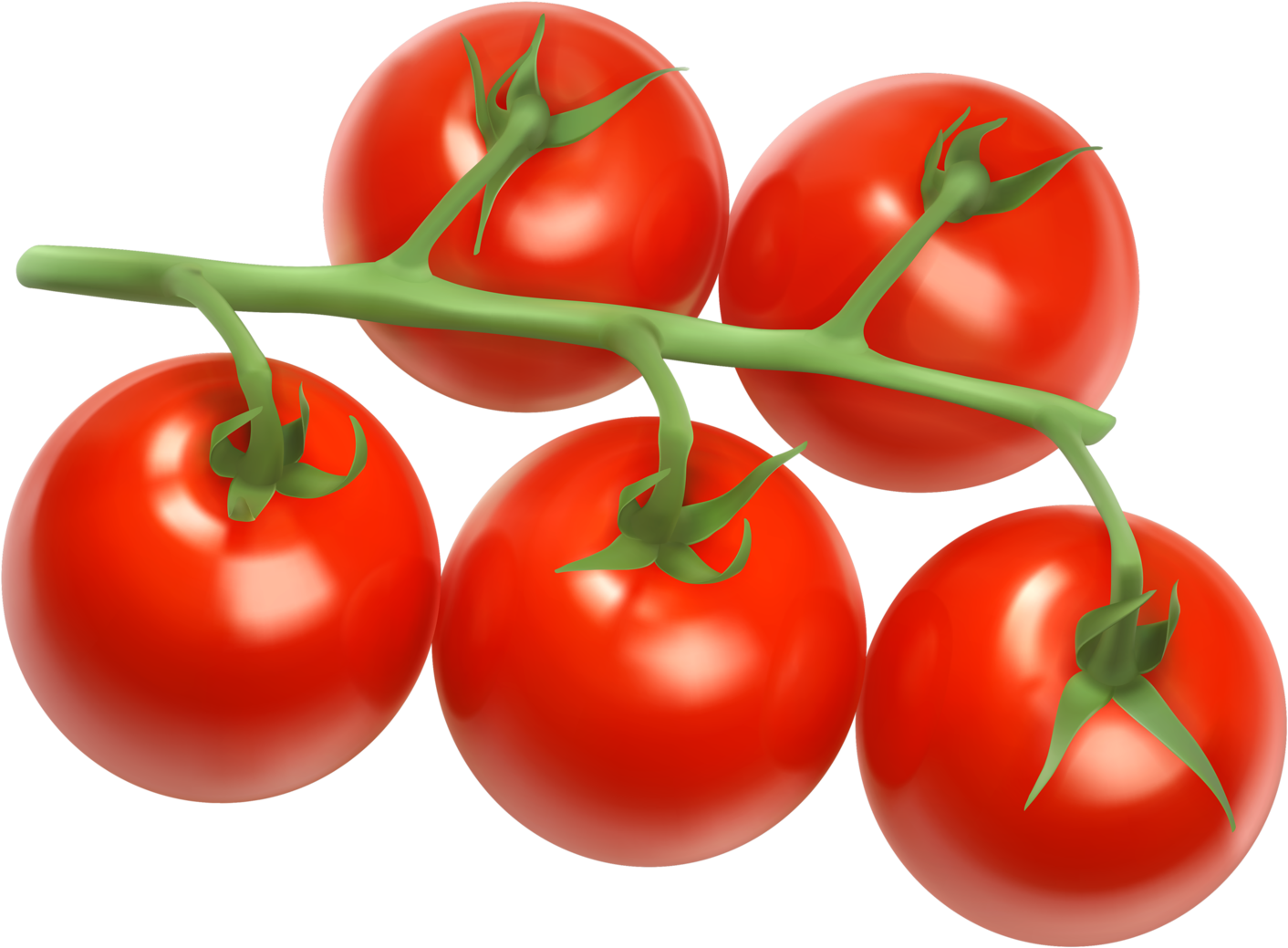 Png Pinterest Clip Art Transparent Png (1600x1271), Png Download