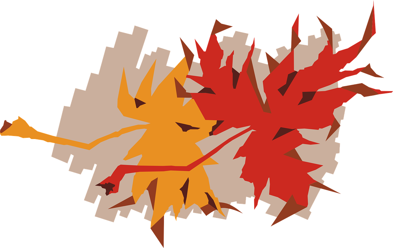 Maple Autumn Fall Leaves Png Image Clipart (1280x808), Png Download