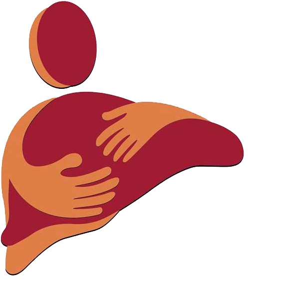 The Liver Foundation India The Liver Foundation India Clipart (849x639), Png Download