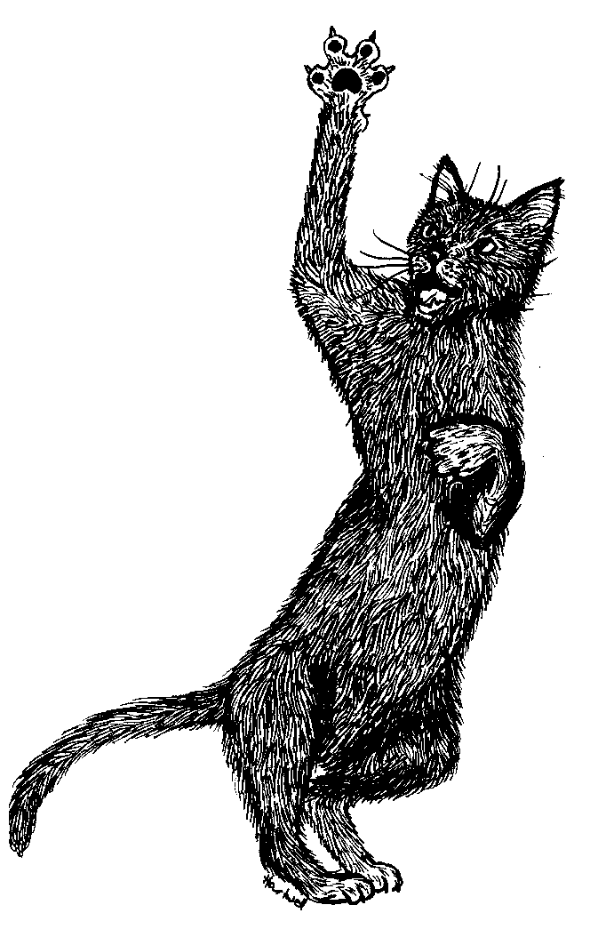 Feline Folklore And More Clipart (664x1045), Png Download