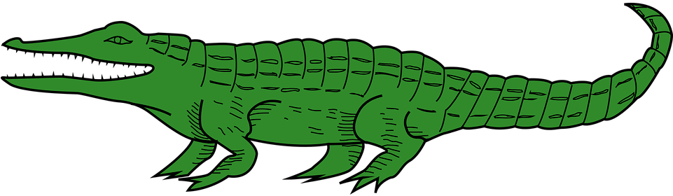 Alligator Graphic Clipart (960x480), Png Download