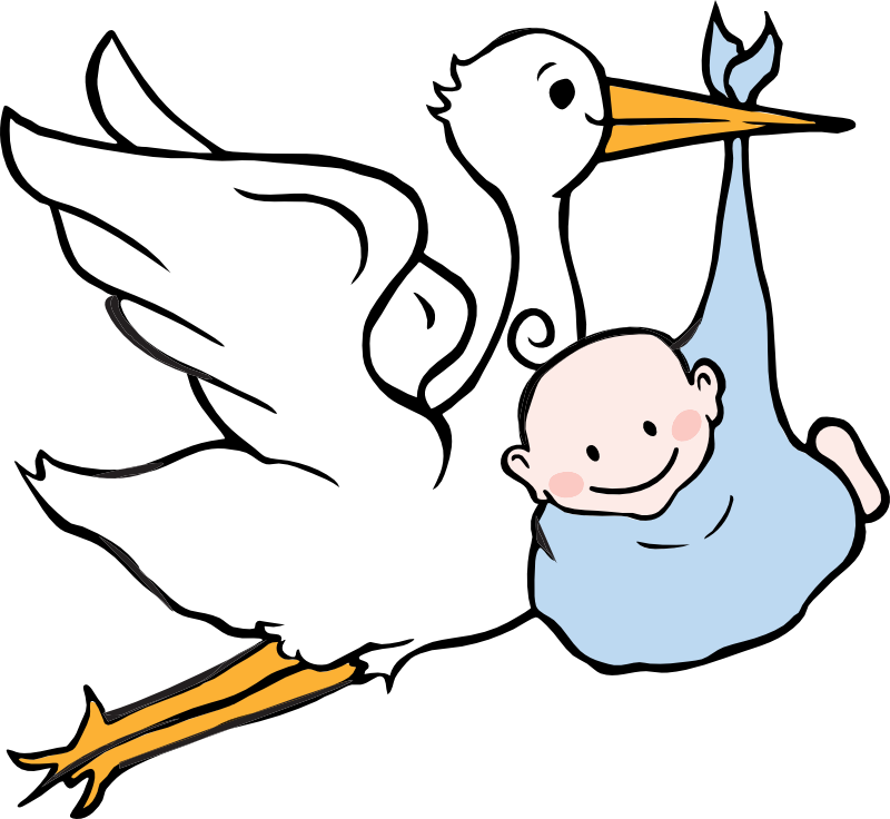 Baby Born Png Clipart (800x736), Png Download