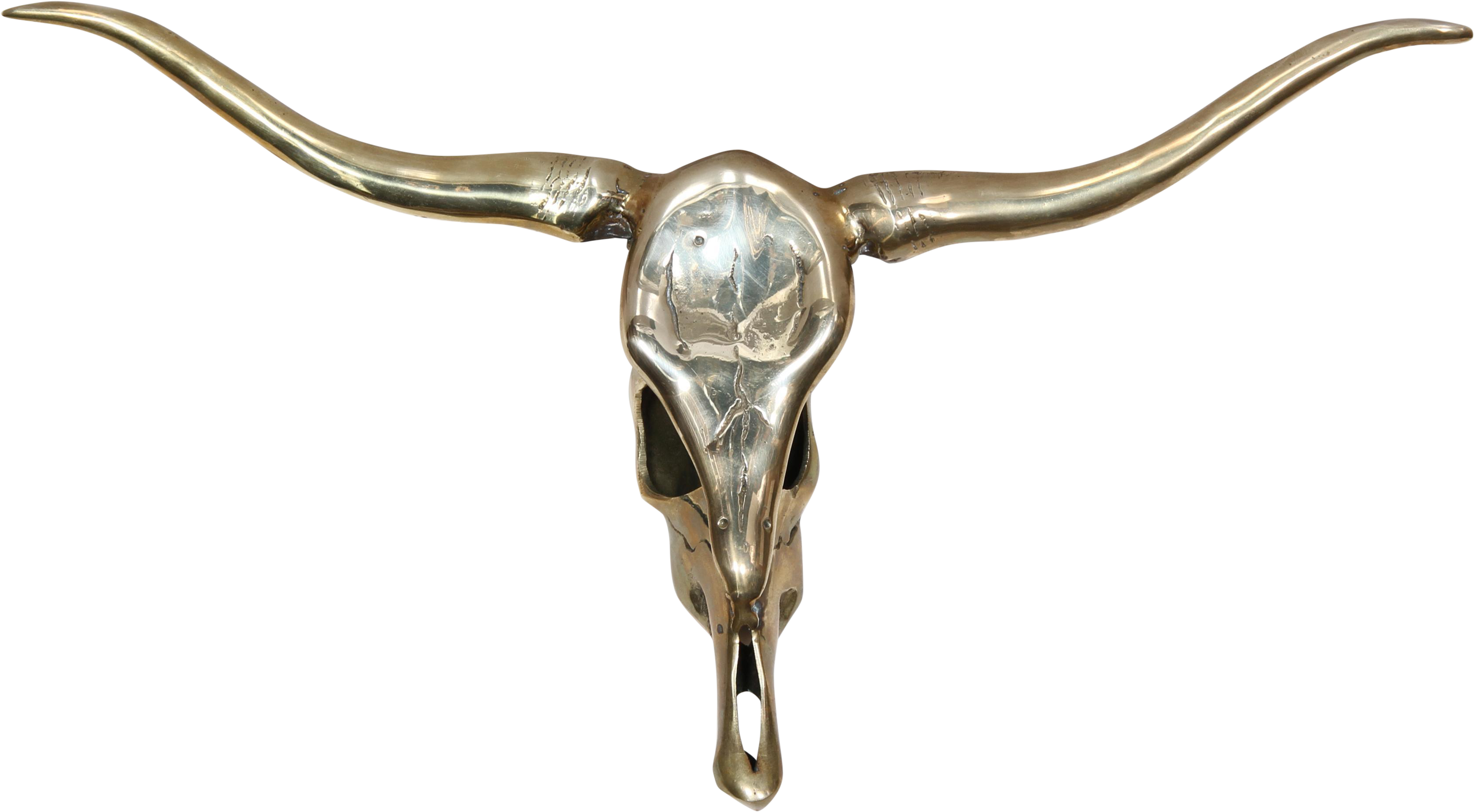 Cow Skull Clip Art - Png Download (3720x2049), Png Download