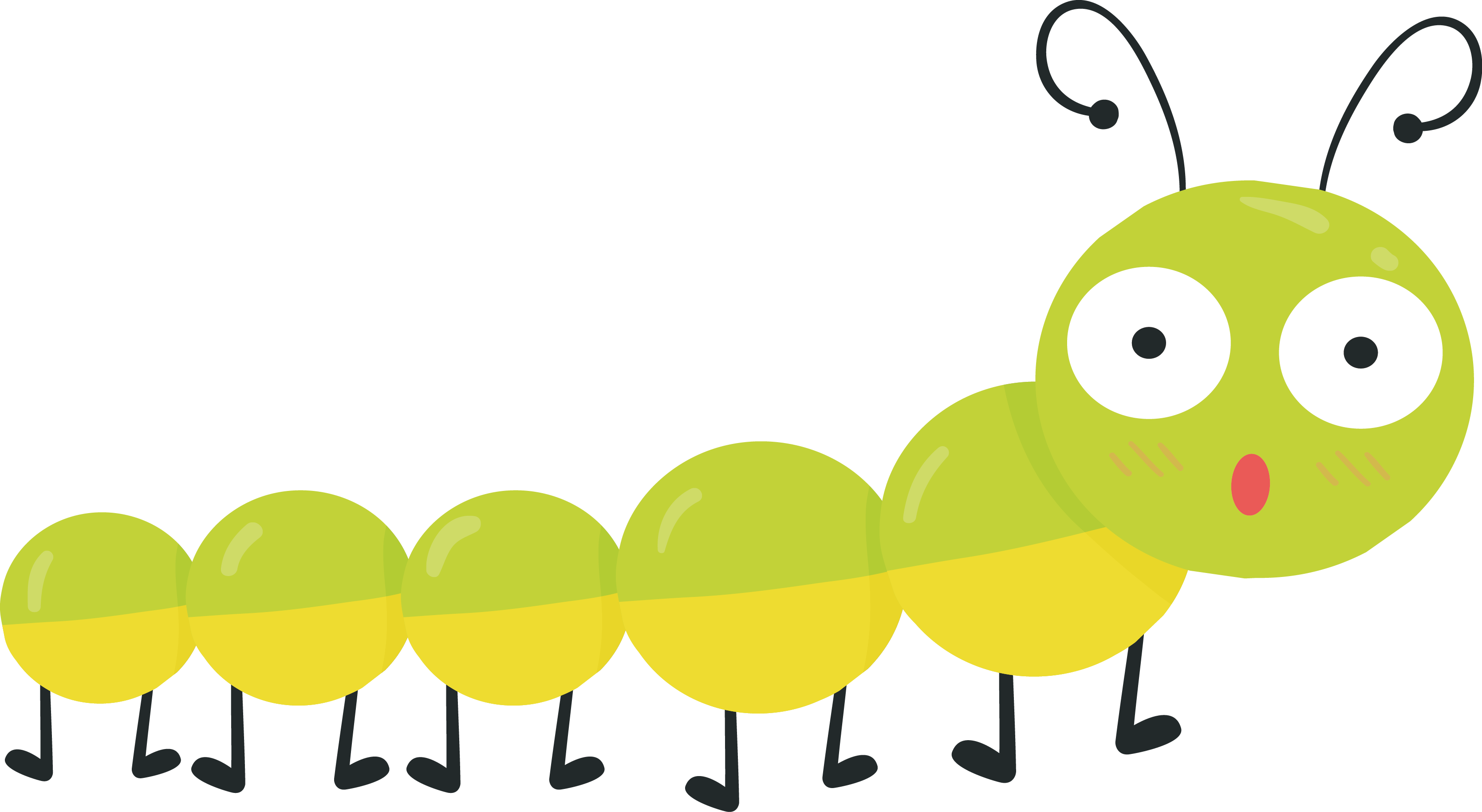 Cartoon Spring Bug Transprent Png Clipart (3340x1831), Png Download