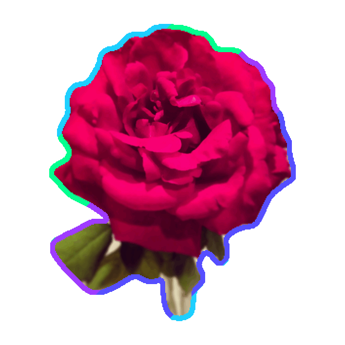 Rose Sticker By Imoji Clipart (506x610), Png Download
