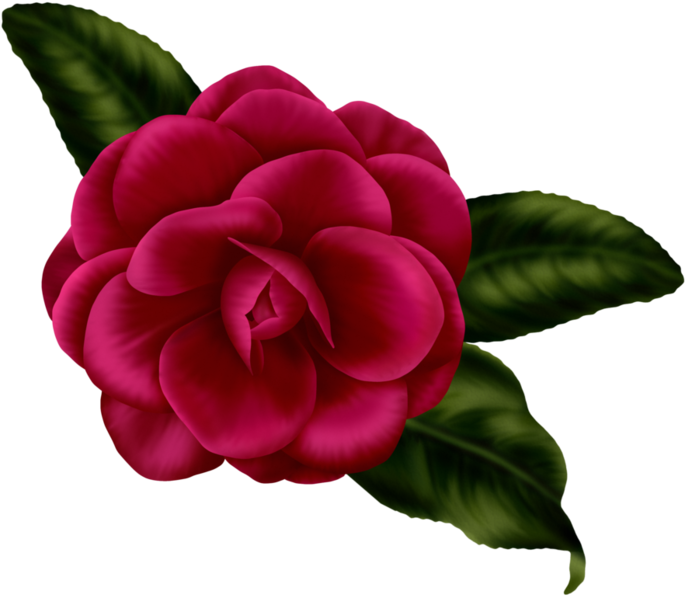 "133848474 Bsd Floral Elegance Element 19" Card From Clipart Full