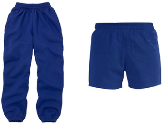 Gym Shoes Clipart Pe Kit - Png Download (640x480), Png Download