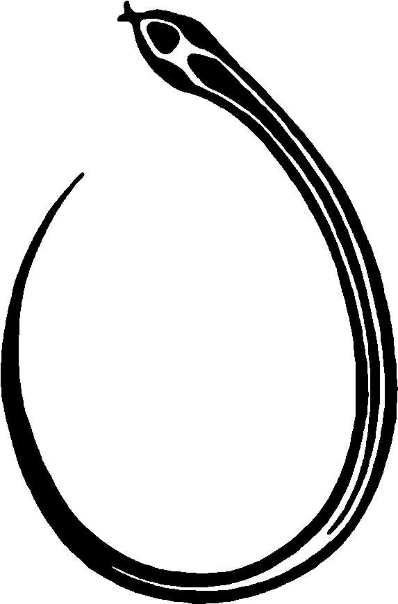 Snake By Darkmoonsphinx Clipart (573x869), Png Download
