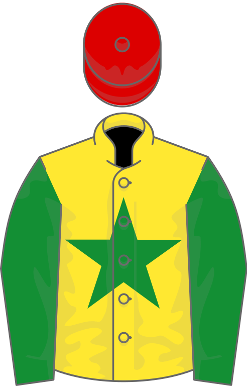 Owner Gemini Syndicate Clipart (492x768), Png Download