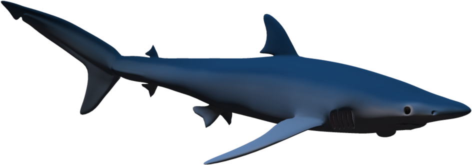 Hammerhead Shark Cartoon Free Download Clip Art Free - Png Download (944x330), Png Download