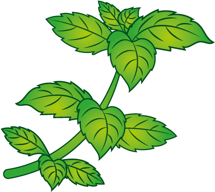 Stevia Leaf Clipart (800x533), Png Download