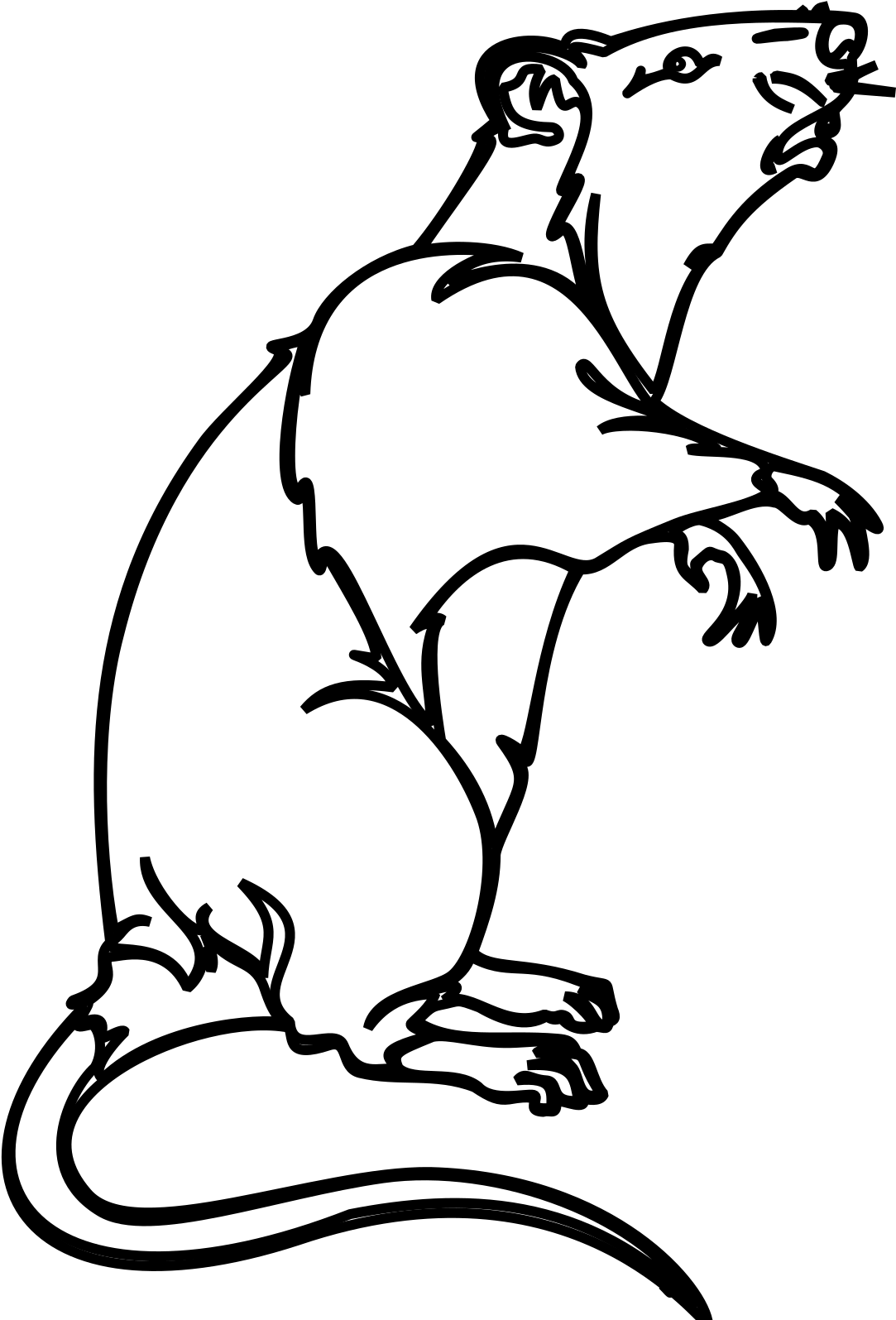 Rat Rodent Laboratory Rat Pest Png Image Clipart (866x1280), Png Download