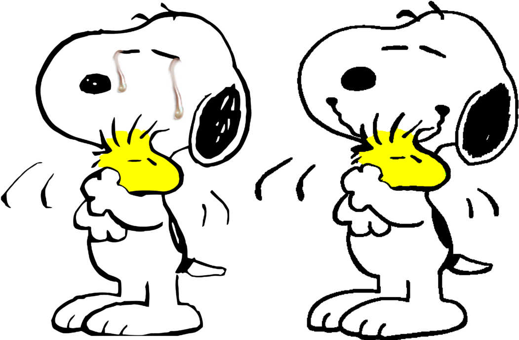 In Sadness Or Joy Gives A Canine Clipart (1089x734), Png Download