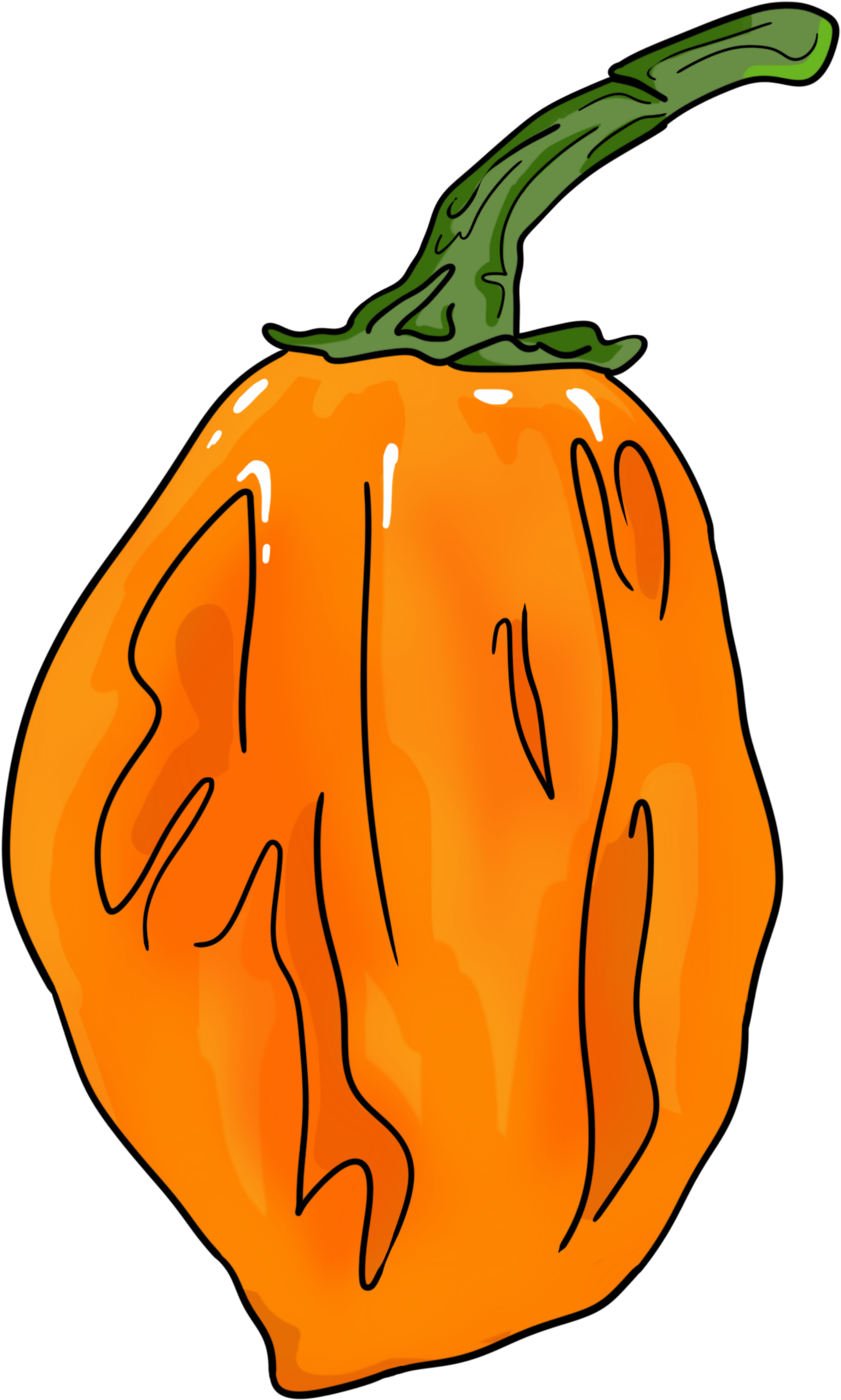 Pin By Mojo Coffee Time On Chili Peppers And Hot Stuff Clipart (2000x4000), Png Download