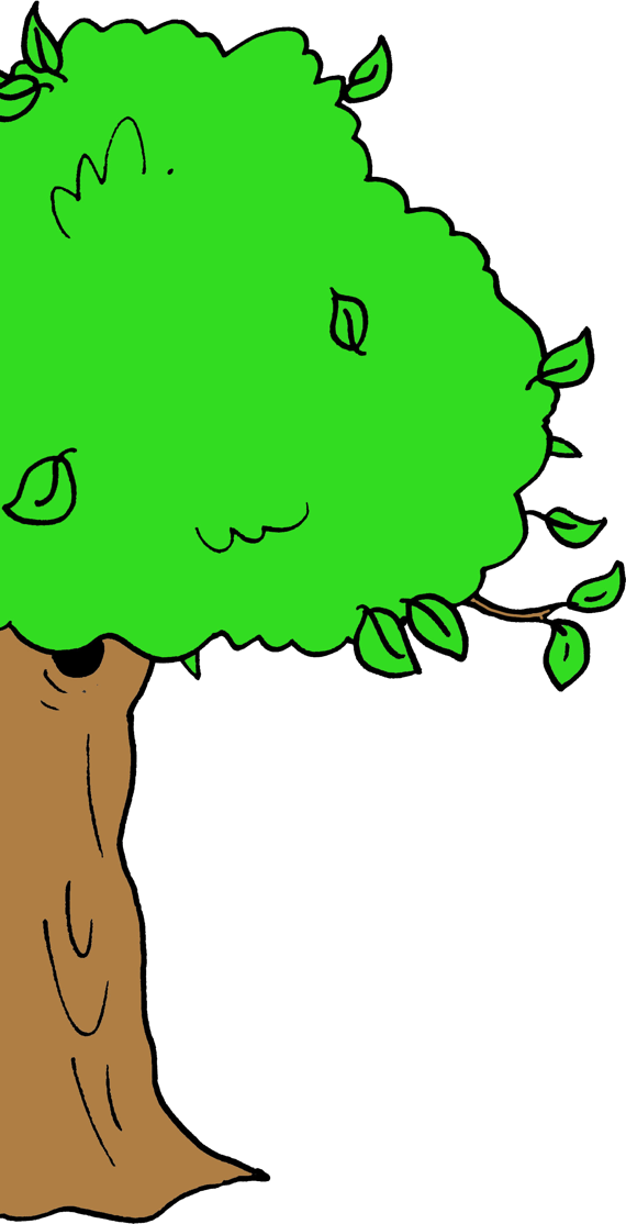 Tree Tree Clipart (570x1114), Png Download