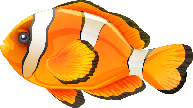 This Png File Is About Fish Clipart , Roach , Gudgeon Transparent Png (800x467), Png Download