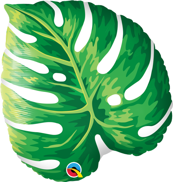 21 Clipart (571x600), Png Download