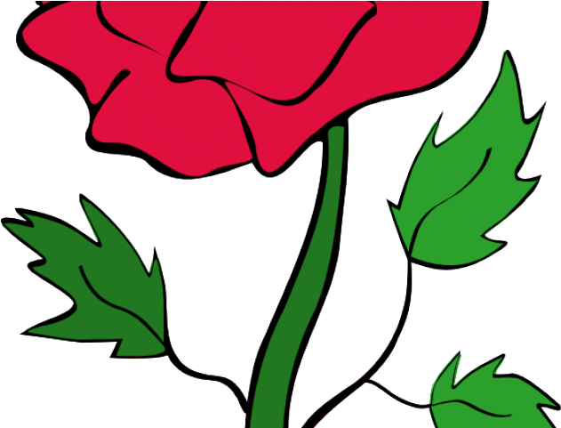 Red Rose Clipart Rose Bush - Png Download (640x480), Png Download