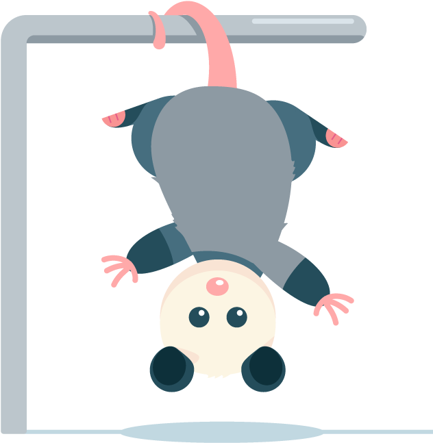 Awesome Possum Messages Sticker-11 Clipart (720x720), Png Download