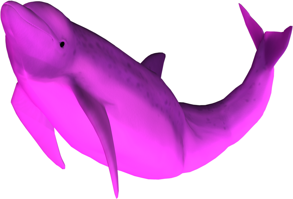 3d Dolphin Png Clipart (955x836), Png Download
