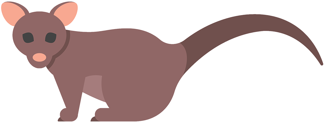 Opossum Clipart (1200x1200), Png Download