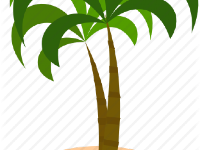 Coconut Clipart Coconut Island - Png Download (640x480), Png Download