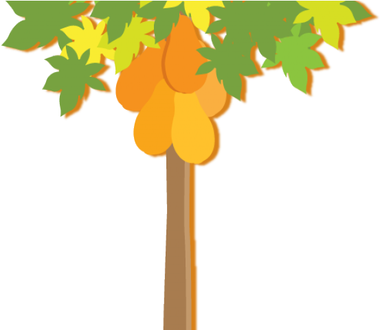 Plants Clipart Pawpaw - Png Download (640x480), Png Download