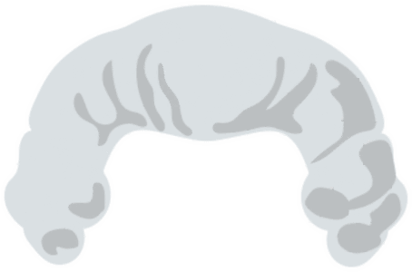 Chile Fiestas Sticker By Unimarc Clipart (480x322), Png Download