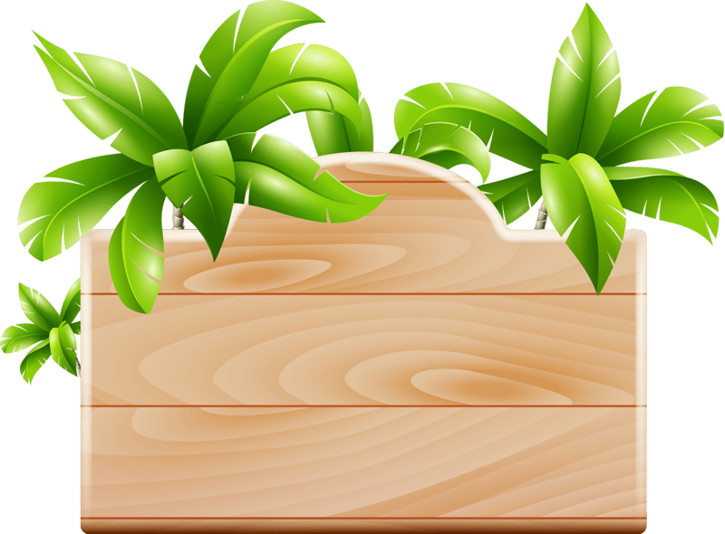 Clipart Of Florida - Png Download (800x590), Png Download