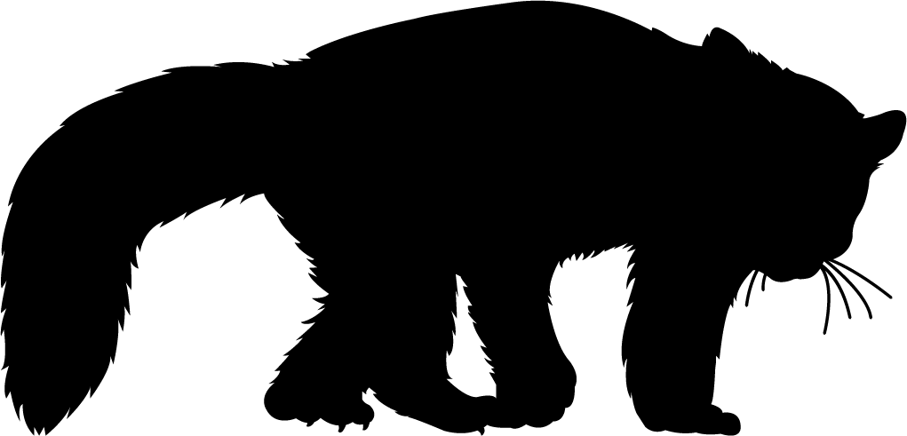Red Panda Silhouette Png - Silhouette Of A Red Panda Clipart (1021x491), Png Download