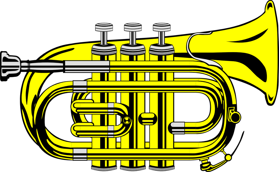 Clipart - Pocket Trumpet - Png Download (800x800), Png Download