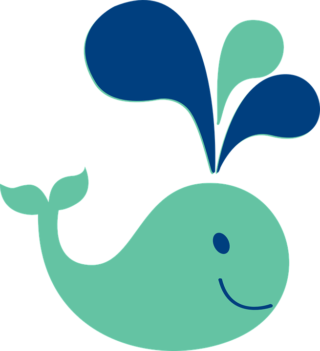 Free Seal Stencil - Baby Shower Whale Clipart (540x594), Png Download