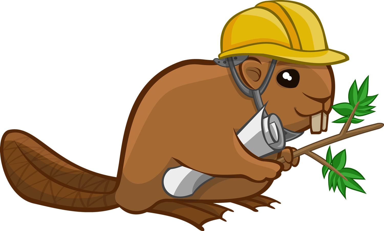 Top 77 Beaver Clip Art - Png Download (1500x901), Png Download