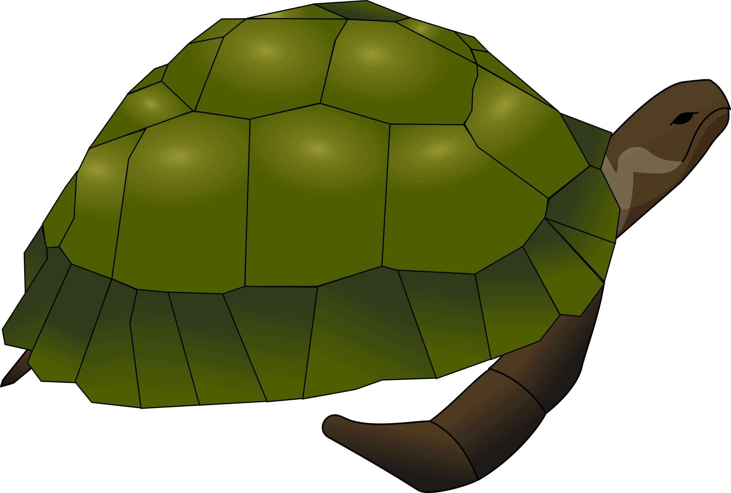 Green Sea Turtle Reptile Turtle Shell - Saint Kateri Tekakwitha Turtle Clipart (1111x750), Png Download