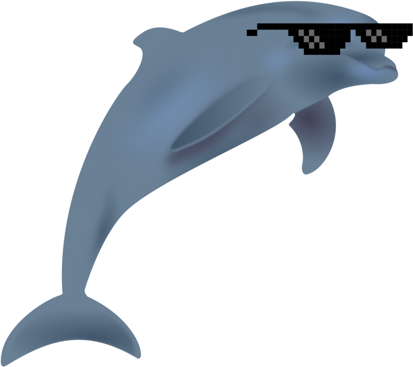 All Photo Png Clipart - Dolphin Christmas Clipart Transparent Png (833x750), Png Download