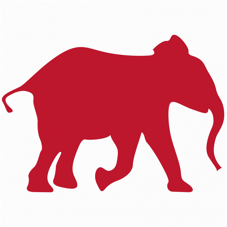 Download Elephant Icon Transparent Clipart Indian Elephant - Transparent Elephant Icon - Png Download (900x900), Png Download