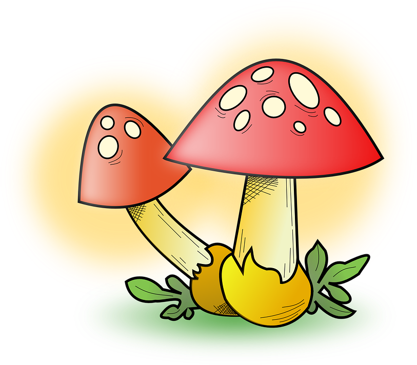 Explique Los Ejemplos Que Presenta El Texto En Lo Referente - Mushroom Clip Art - Png Download (814x720), Png Download